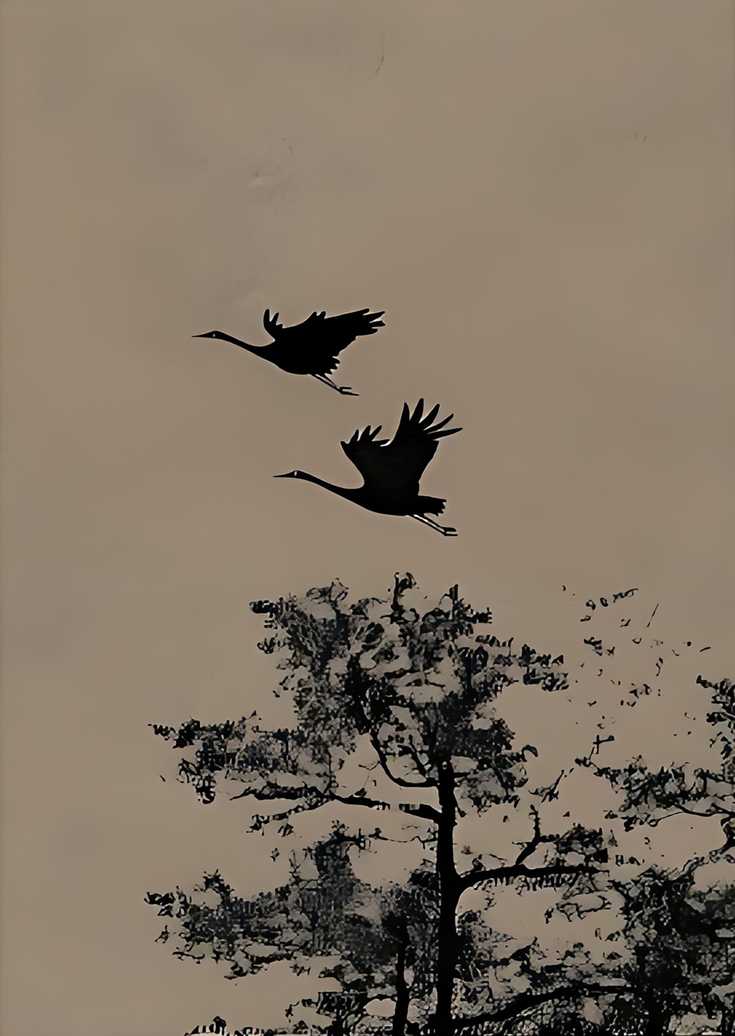 F013 Triptych Canvas – High-Quality Wall Art | Perfect for Living Room & Home Décor