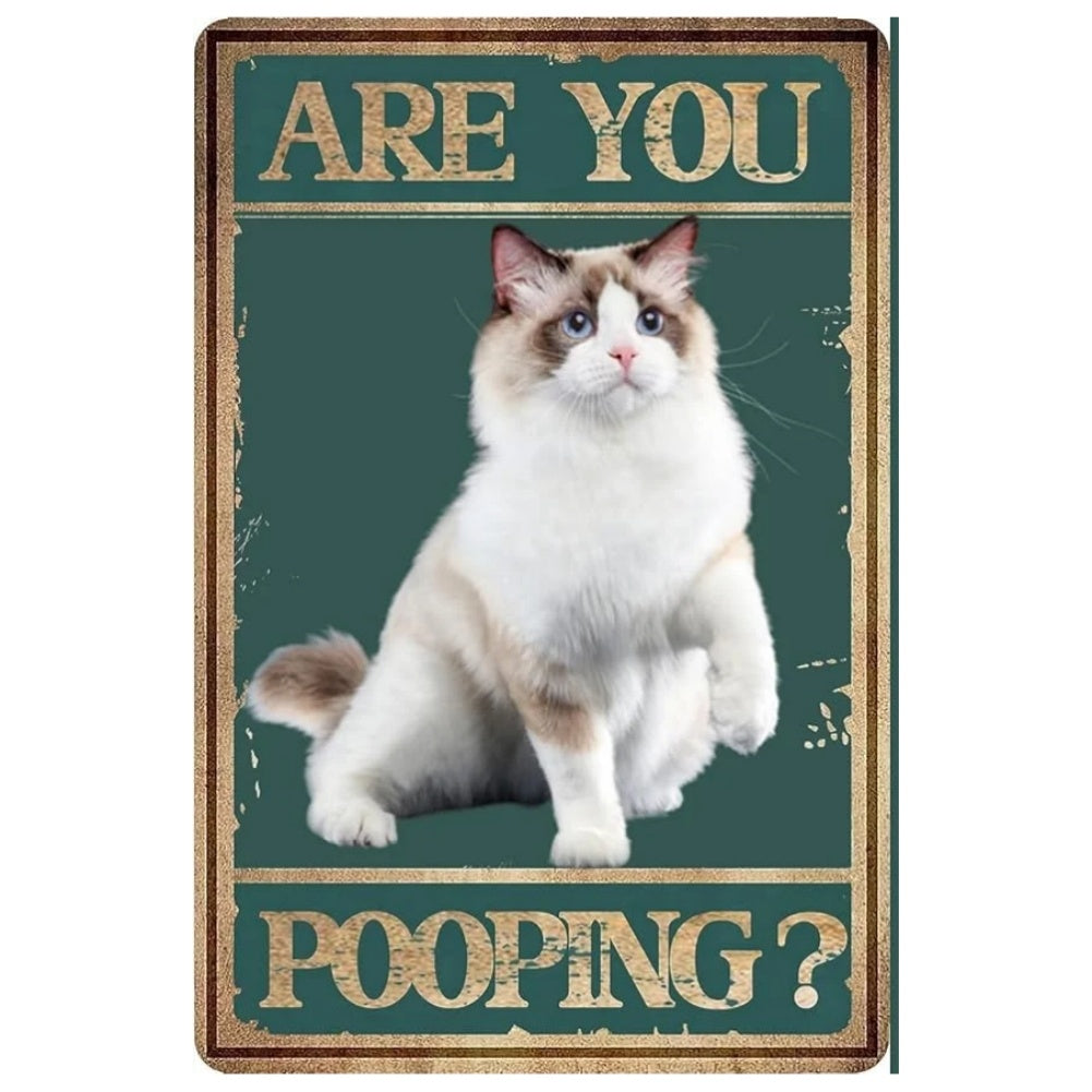 8x12 Cute Cat Metal Sign – Retro Tin Wall Art for Cat Lovers & Kitchens | Tin & Time Co. #2013