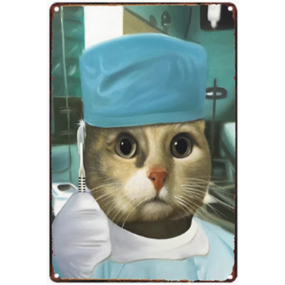 8x12 Cute Cat Metal Sign – Retro Tin Wall Art for Cat Lovers & Kitchens | Tin & Time Co. #2103