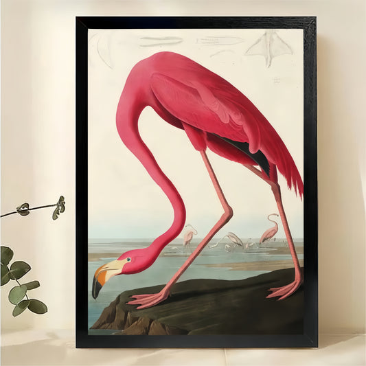 Flamingo Wall Art - Vintage Audubon Style Print|W1299