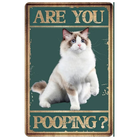 8x12 Cute Cat Metal Sign – Retro Tin Wall Art for Cat Lovers & Kitchens | Tin & Time Co. #2013