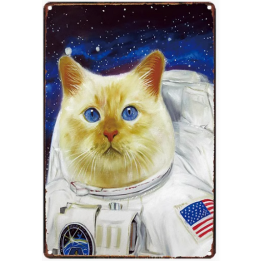 8x12 Cute Cat Metal Sign – Retro Tin Wall Art for Cat Lovers & Kitchens | Tin & Time Co. #2124