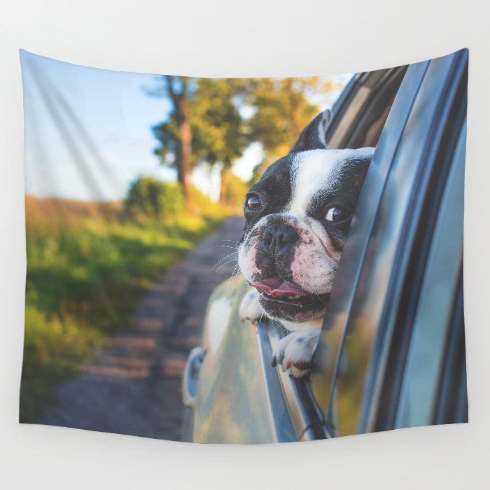 G011 Tapestry - Warm Beautiful Wall Hanging for Bedroom, Animal Wall Art for Living Room, Home Decoration