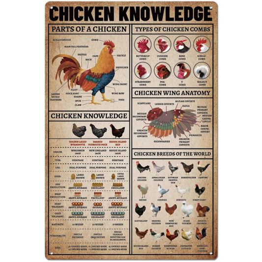 8x12 Cute Chicken Metal Sign – Retro Tin Wall Art for Chicken Lovers & Kitchens | Tin & Time Co. #B029