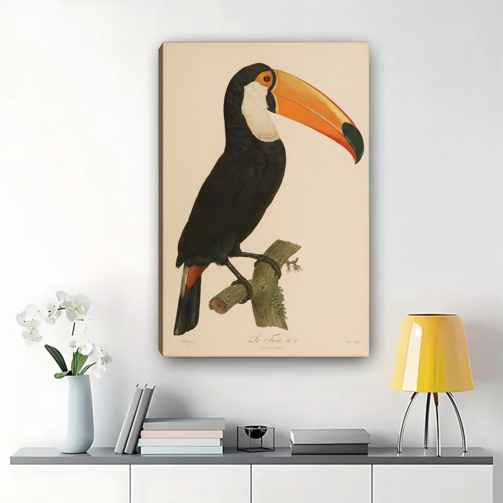 Toucan on Branch Wall Art - Vintage Botanical Illustration Canvas Print|W1355